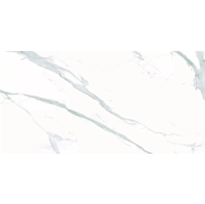 Elite Renoir - porcelain (Floor Tile, Wall Tile, Shower Floor Tile, Polished, Floor, Wall) tile